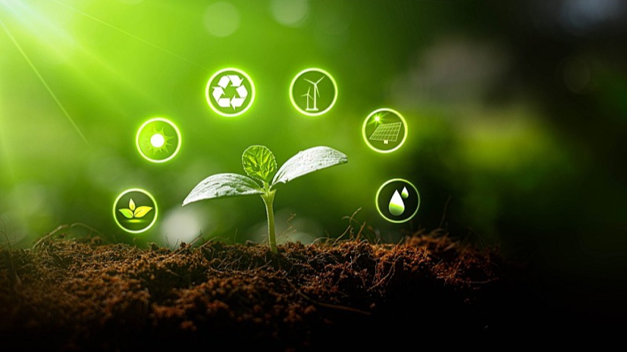 immagine in evidenza